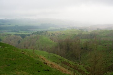 Obraz premium Green Fields on a Cloudy Day with Atmospheric Haze - Serene Landscape Photo