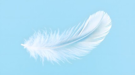 A single feather, softly floating in the air on a light blue background.


