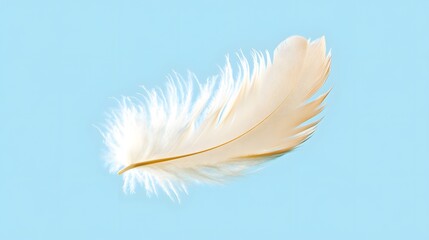 Obraz premium A single feather, softly floating in the air on a light blue background.