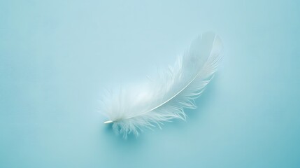 A single feather, softly floating in the air on a light blue background.


