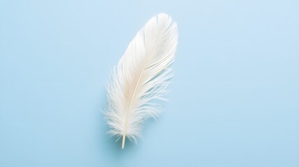 A single feather, softly floating in the air on a light blue background.


