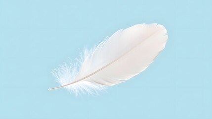 Obraz premium A single feather, softly floating in the air on a light blue background.