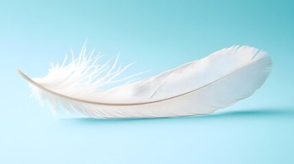 Obraz premium A single feather, softly floating in the air on a light blue background.