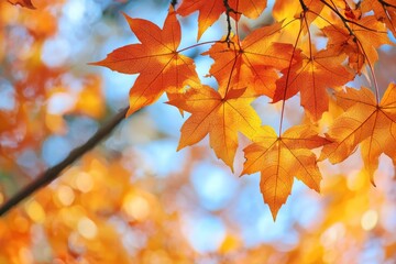 Fallen Leaves Season Background created with Generative AI