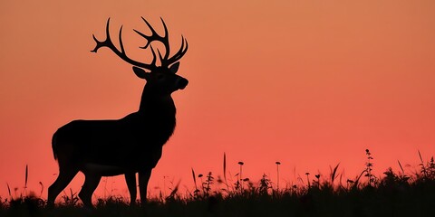 Naklejka premium Whitetail Buck Silhouette at Sunset Silhouette of a Whitetail Buck at sunset during the fall (2)