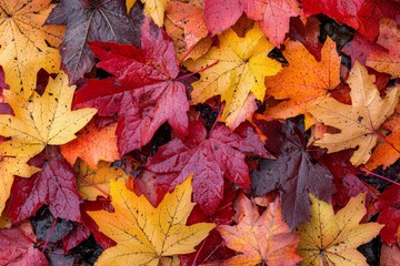 Fallen Leaves Season Background created with Generative AI