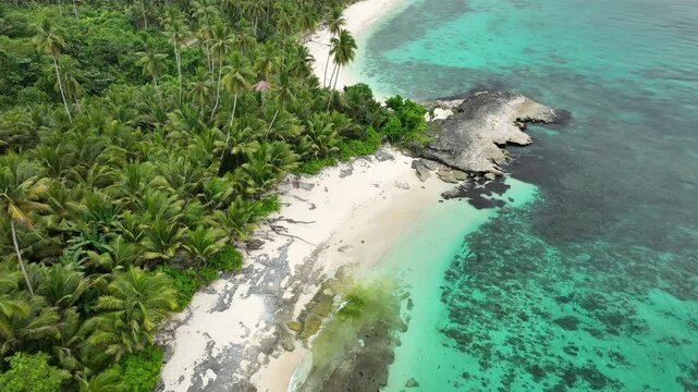INDONESIA - 9.4.2024 - Incredible aerial footage circling counterclockwise around the palm tree-lined Indonesia's Mandel beach.