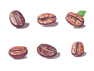 Obraz premium Coffee beans variety for design and branding projects