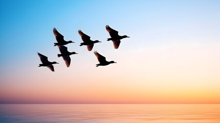 Fototapeta premium Flock of birds silhouetted against a beautiful golden hued sunset sky their graceful movements creating a sense of peaceful tranquility and wanderlust
