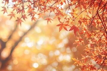 Fallen Leaves Season Background created with Generative AI