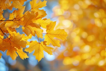 Obraz premium Fallen Leaves Season Background created with Generative AI