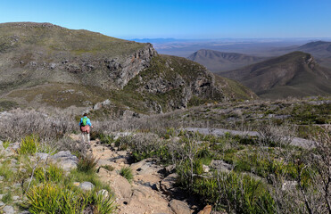 Bluff Knoll on the descent track. Stirling Ranges Western Australia