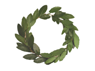 Spring-themed laurel leaf wreath for seasonal decor and design projects