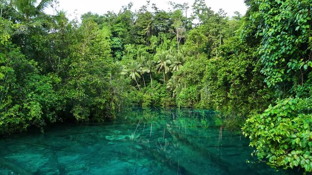 INDONESIA - 9.4.2024 - Wonderful aerial footage moving through the palm trees lining Indonesia's Paisu Pok Lake.