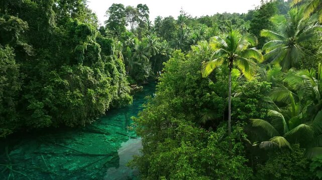 INDONESIA - 9.4.2024 - Amazing aerial footage moving across Indonesia's Paisu Pok Lake, surrounded by thick palm trees.
