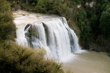 Fototapeta premium Waihi Falls in New Zealand - Majestic Waterfall in Lush Forest