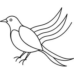 dove of peace vector