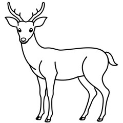 Line art deer vector. hand drawing deer nature animal silhouette illustration black