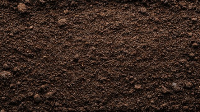 Highresolution top view of fertile soil with rocks and pebbles, perfect for agriculture and gardening concepts.