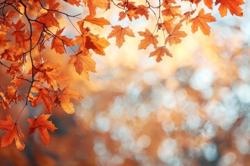 Fallen Leaves Season Background