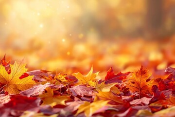Fallen Leaves Season Background