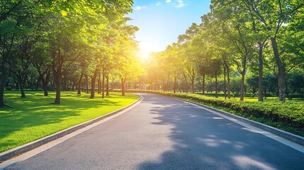 Fototapeta premium Sunny Path Through a Lush Green Park