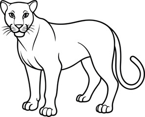 Obraz premium Panther isolated on white background.