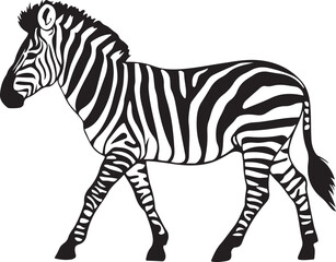 Fototapeta premium silhouette vector style zebra.