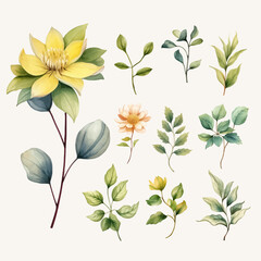 Set of Wild Flower Watercolor Clipart