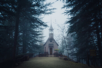 Spooky foggy dark forest scene with a path ending on a lonely creepy old abandoned chapel