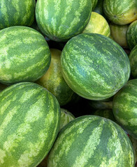 Watermelons displayed at a market stand
