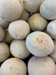 Cantaloupes displayed at a market stand