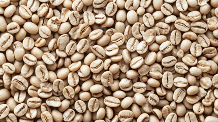 Naklejka premium raw unroasted white coffee beans background