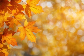 Fototapeta premium Fallen Leaves Season Background