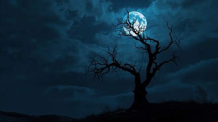 Silhouetted Tree Under Moonlit Sky at Night