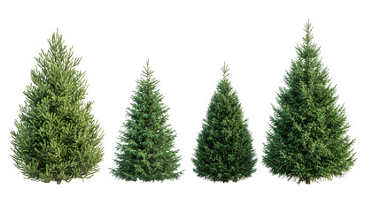Obraz premium set of Christmas Trees isolated on transparent background