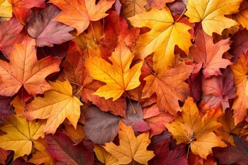 Fototapeta premium Fallen Leaves Season Background