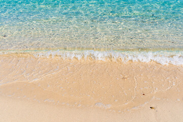 Azure Waves and Golden Shores: Nature’s Perfect Beach Scene