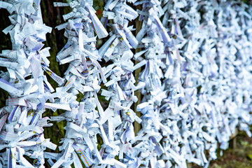 Kuzuryu Shrine Shingu in Hakone, Ashigarashimo, Kanagawa, Japan