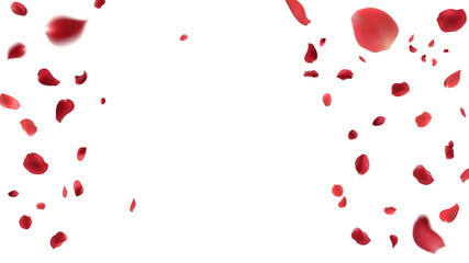 Rose petals or sakura flying petals, romantic background with realistic pink cherry flower petals flow or falling motion. Love, romance, floral spring season