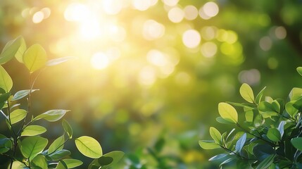 Lush Green Leaves with Sunlight Background