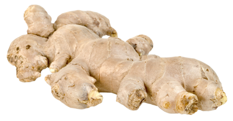 fresh ginger root isolated