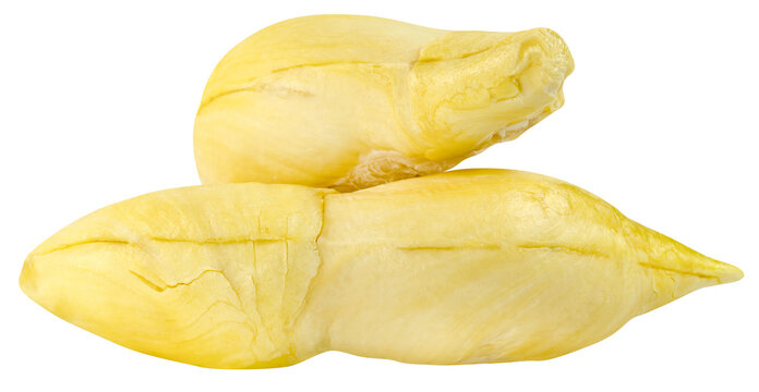 durian fruit isolated