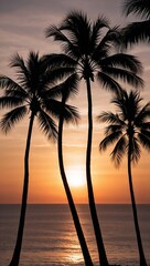 Tropical palm trees silhouetted against sunset background for invitation or card screensaver