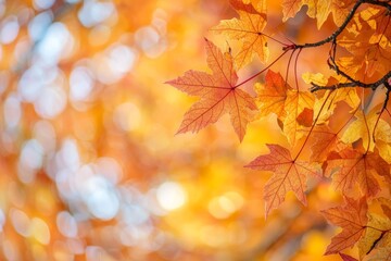 Fototapeta premium Fallen Leaves Season Background created with Generative AI