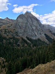 Autumn forest in the mountain 