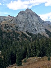 Autumn forest in the mountain 