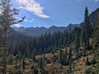 Obraz premium Autumn forest in the mountain 