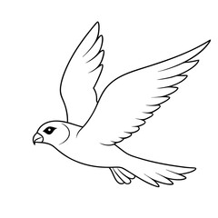  american-kestrel-flying 
