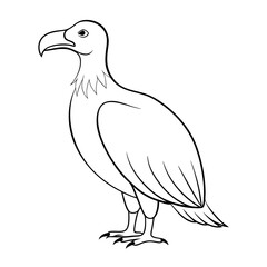 andean-condor-standing